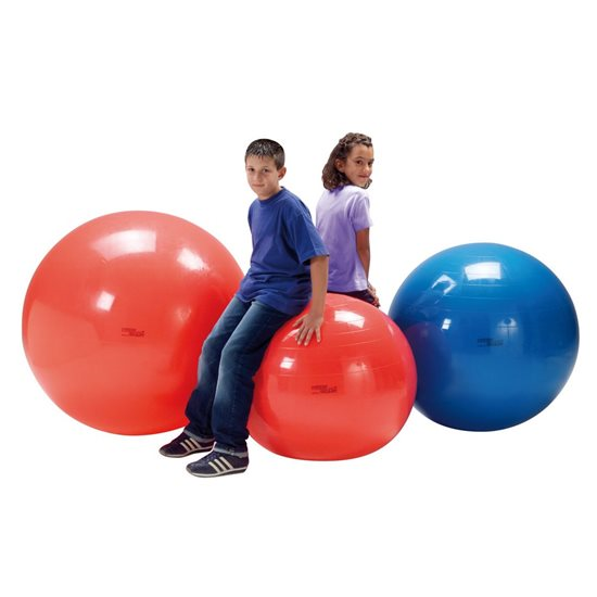 Physio Ball - 95cm